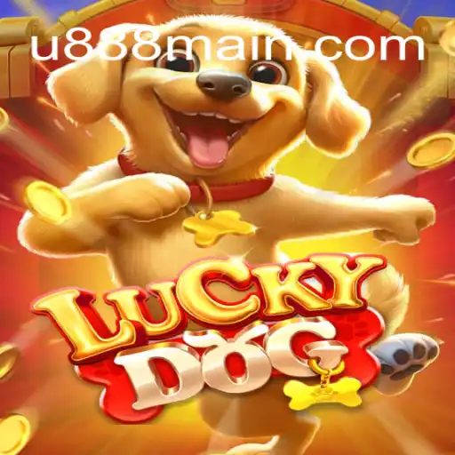 Exploring LuckyDog: The Ultimate Gaming Experience