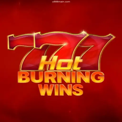 Exploring the Thrills of HotBurningWins